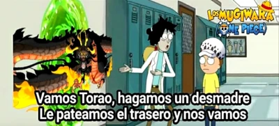 Luffy and Law