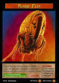 Plague Flea-1-