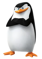 Pom-skipper04