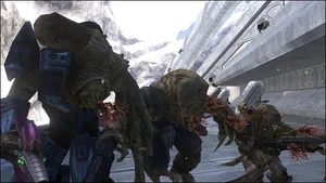 Combat Forms