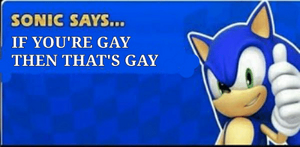 Sonic-says-if-youre-gay-then-thats-gay-thanks-sonic-31126670-1