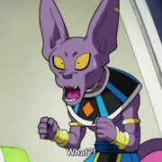 Beerus What