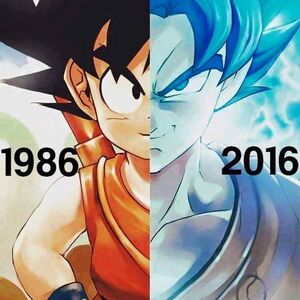 Goku Grew Up