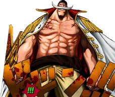 Whitebeard desktop 1006x846 hd-wallpaper-963317