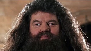 Mad Hagrid