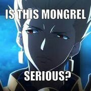ZN6U0gR ZN6U0gR