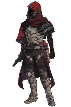 Assassin EMIYA Hooded