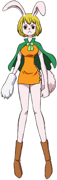 Carrot One Piece VS Battles Wiki Fandom