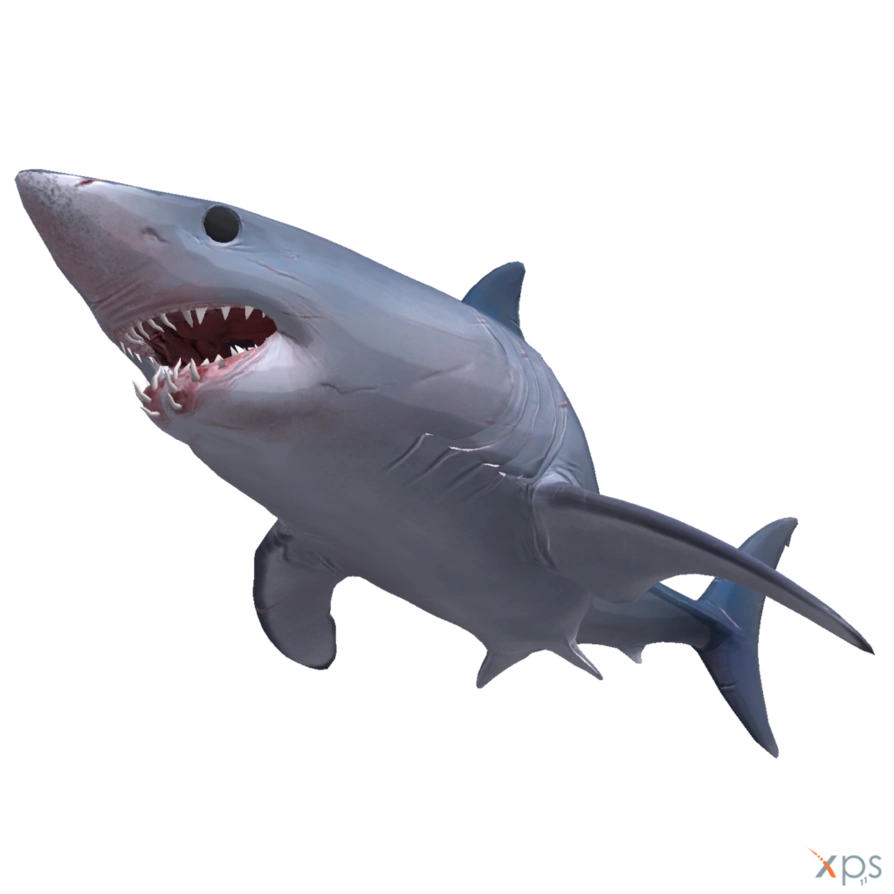 Mako Shark (Depth) | VS Battles Wiki | FANDOM powered by Wikia
