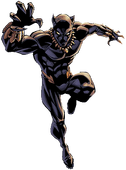 Black panther