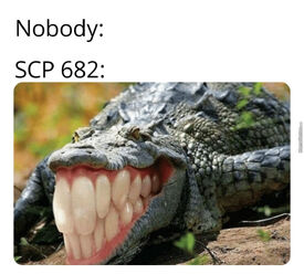 Security-breach-scp-682-is-out-of-his-cell-on-site o 7265415