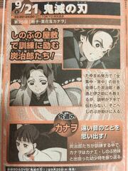 Kimetsu no Yaiba Episode 13 Discussion (210 - ) - Forums 