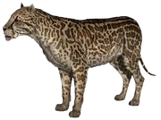 Dinofelis