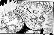 Fairy Tail FOWE Mark Natsu
