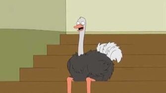 Family Guy - Ostrich Laugh