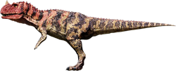 Horned dinosore Horned dinosore