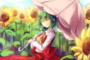 Kazami yuuka touhou drawn by kutsuki kai db8f5691811367c6d288942b85b54c5b