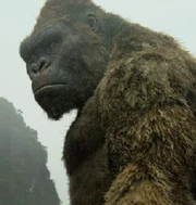 Kongk2