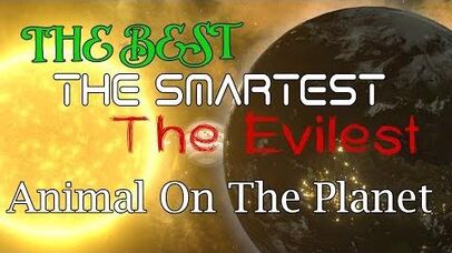 The Best, The Smartest And The Most Evil Animal On The Planet-2