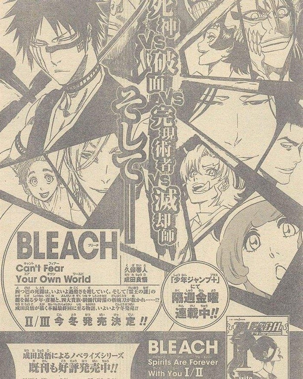 Bleach Novel Can T Fear Your Own World Page 3 Vs Battles Wiki Forum