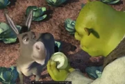 Onions