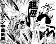 Pulverize1