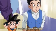 Can't See Goku 5 Can't See Goku 5