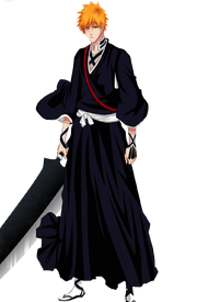 Ichigo (Shikai) 02