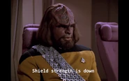 Shields at 33% Shields at 33%