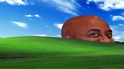 Ainsley Windows XP Bliss Wallpaper Ainsley Windows XP Bliss Wallpaper