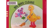 BigBirdCleansCover