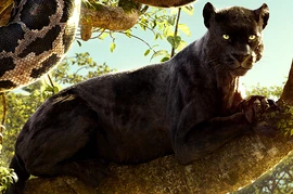 Bagheera Jungle Book 2016-1-