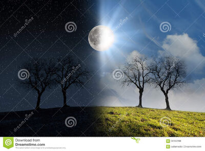 Moonlight-sunlight-night-day-scenery-moon-sun-56392398