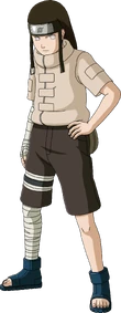 Neji body Neji body