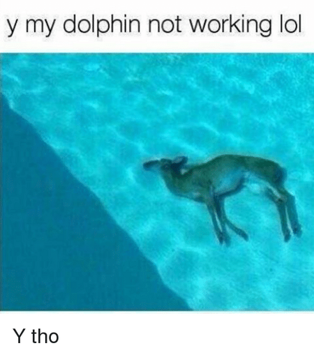 Y-my-dolphin-not-working-lol-y-tho-21053566