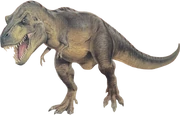 The Rex