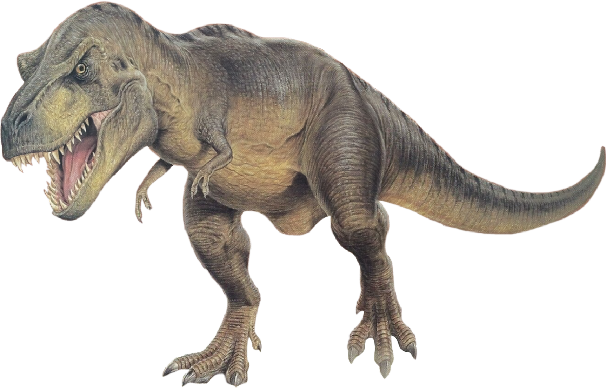 T-Rex (Weird n' Wild Creatures) | VS Battles Wiki | Fandom