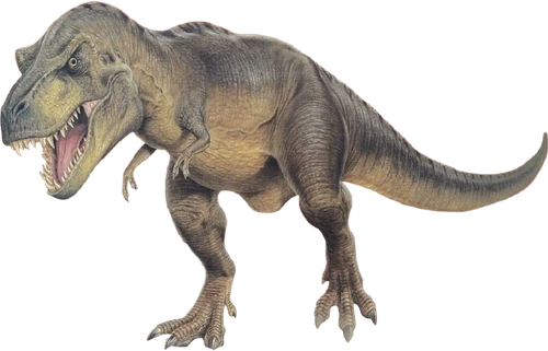 The Rex