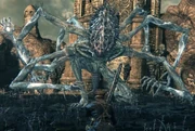 Amygdala