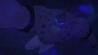 KÃ©ptalÃ¡lat a kÃ¶vetkezÅ�re: „fairy tail torafusa gif”