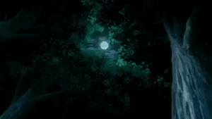Chidori (new)