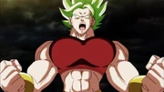 Kale muscle 8 Kale muscle 8