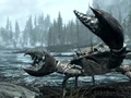 The Mudcrab