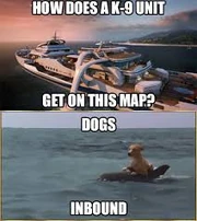 Dogs on the way