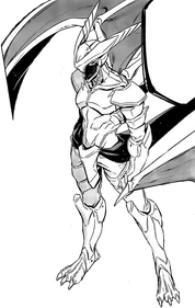 2nd Form Incursio