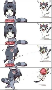 Nyatachi