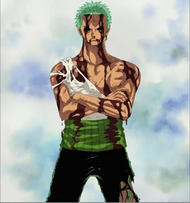Zoro-roronoa-zoro-16278653-956-1024