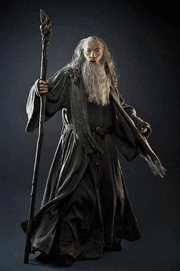 20121003 gandalf