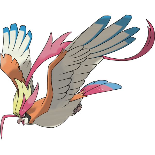pidgey huntr pidgey huntr