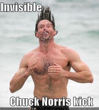 Chuck norris beach